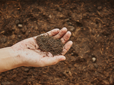 SOIL